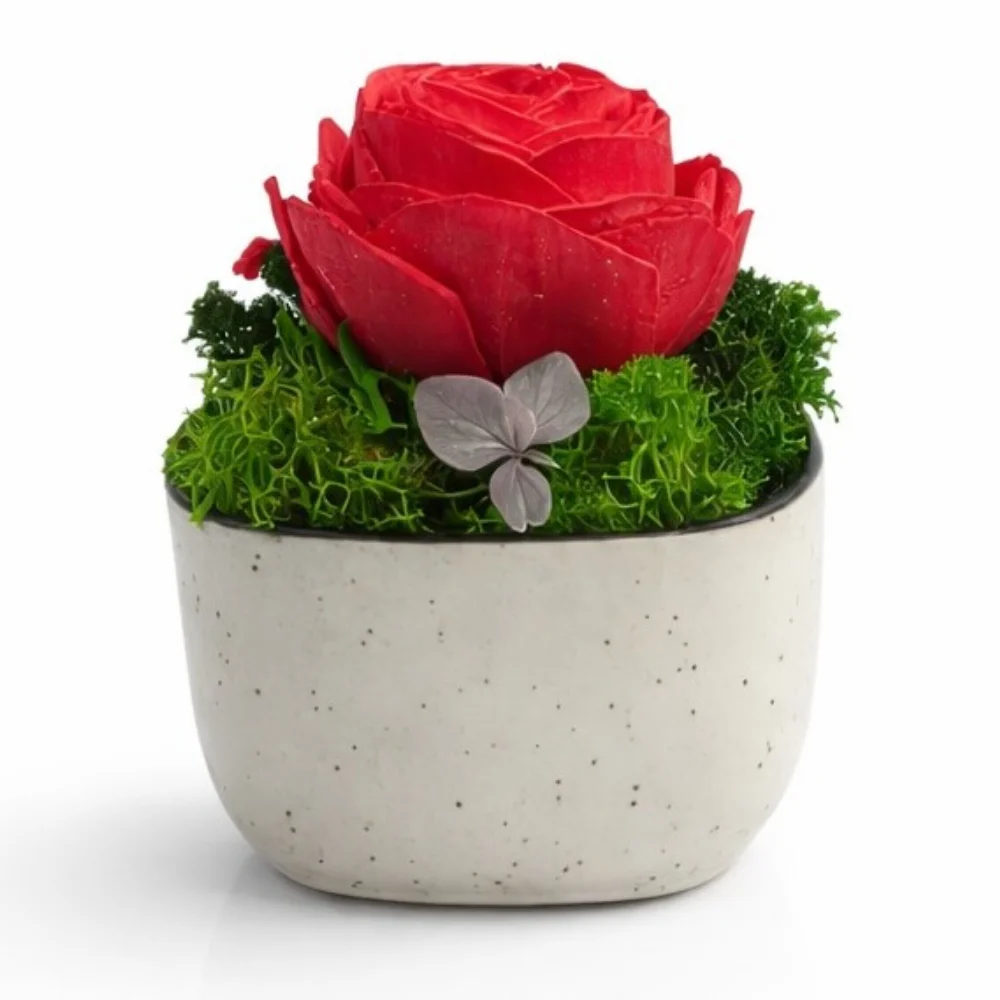 Ceramic Forest Rose Pod square raw (CF01-rose)