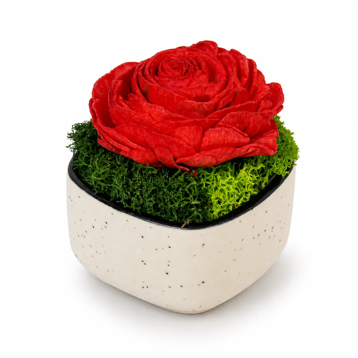 Ceramic Forest Rose Pod square raw (CF01-rose)