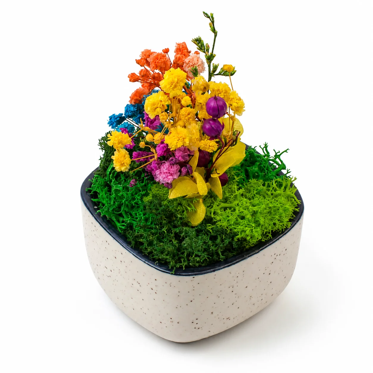 Ceramic Forest Bowl-3" square raw (CF01)