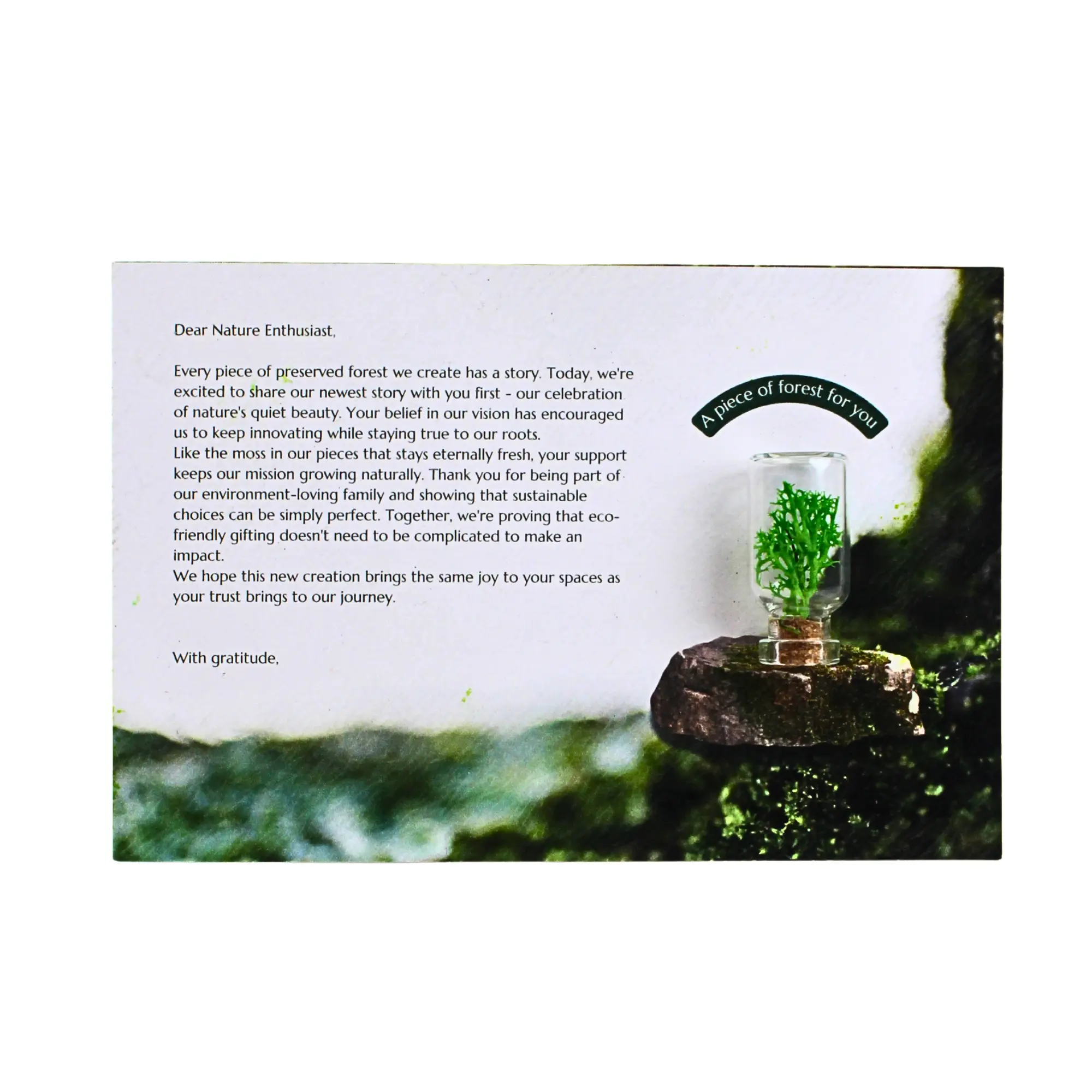 Forest Card square raw (FC01)