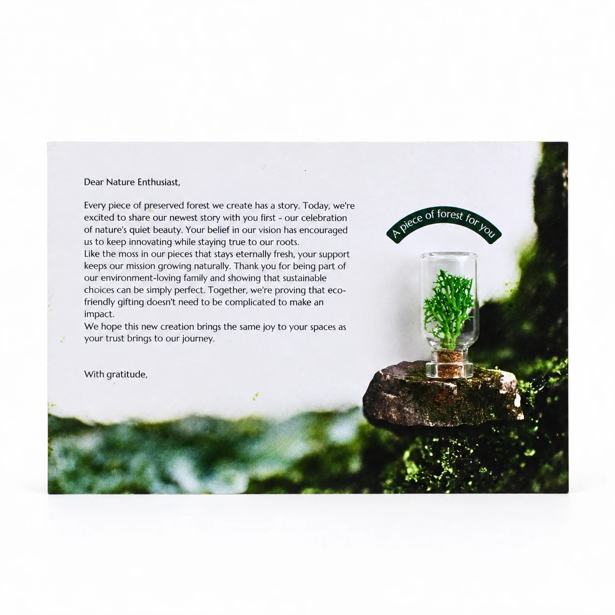 Forest Card square raw (FC01)