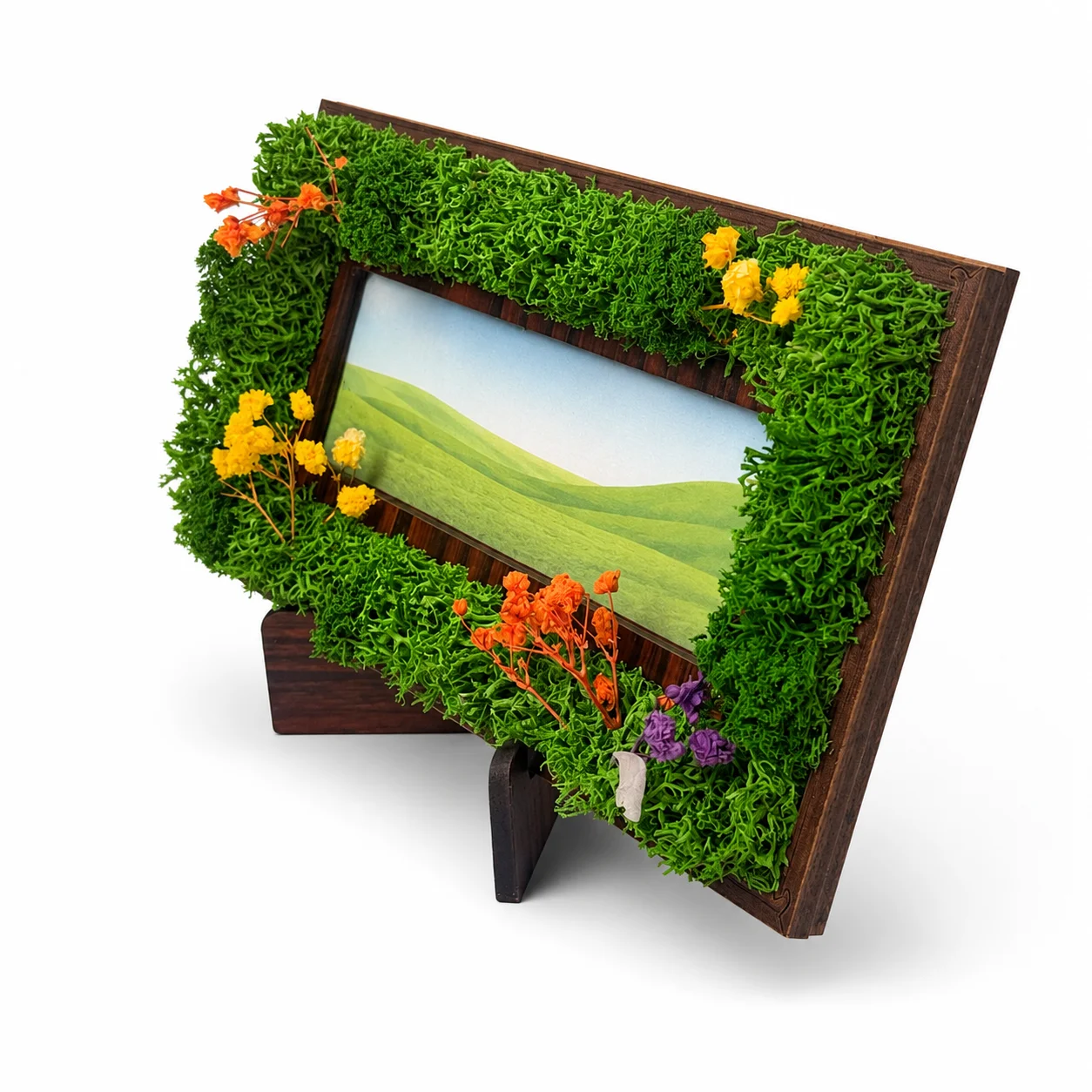 Forest Border Frame | 8" x 4" square raw (FFRAME48)