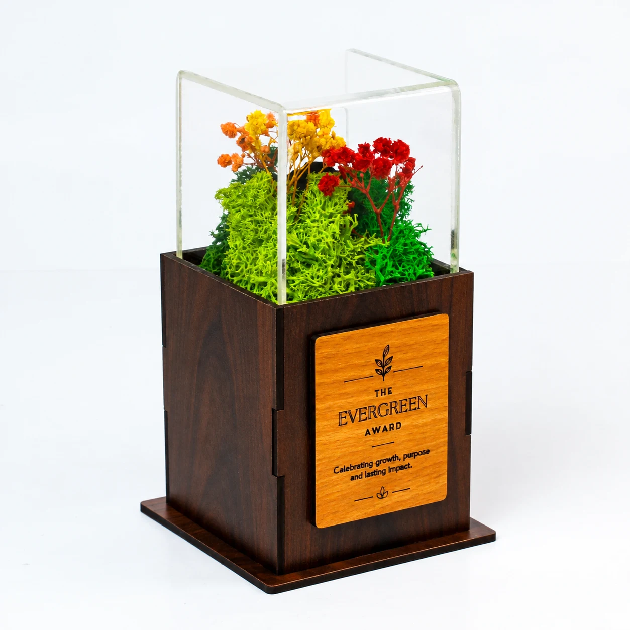 Acrylic Forest Terra Award square raw (FTaward33)