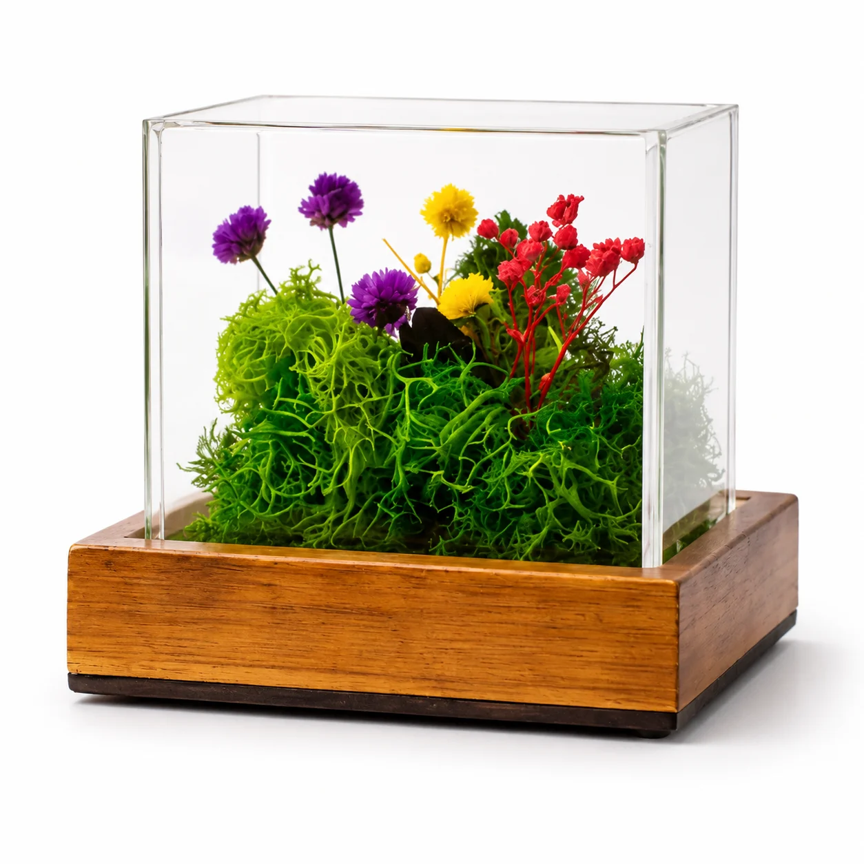 Forest Terrarium Cube square raw (FTERRA22)