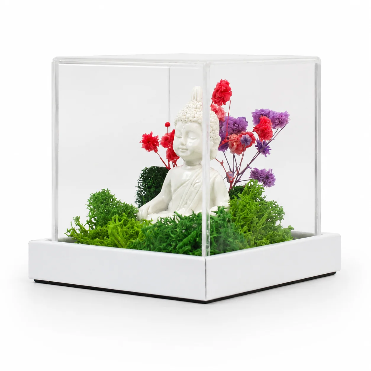 Forest Terrarium 3x3 with Buddha square raw (FTERRA33-Buddha)