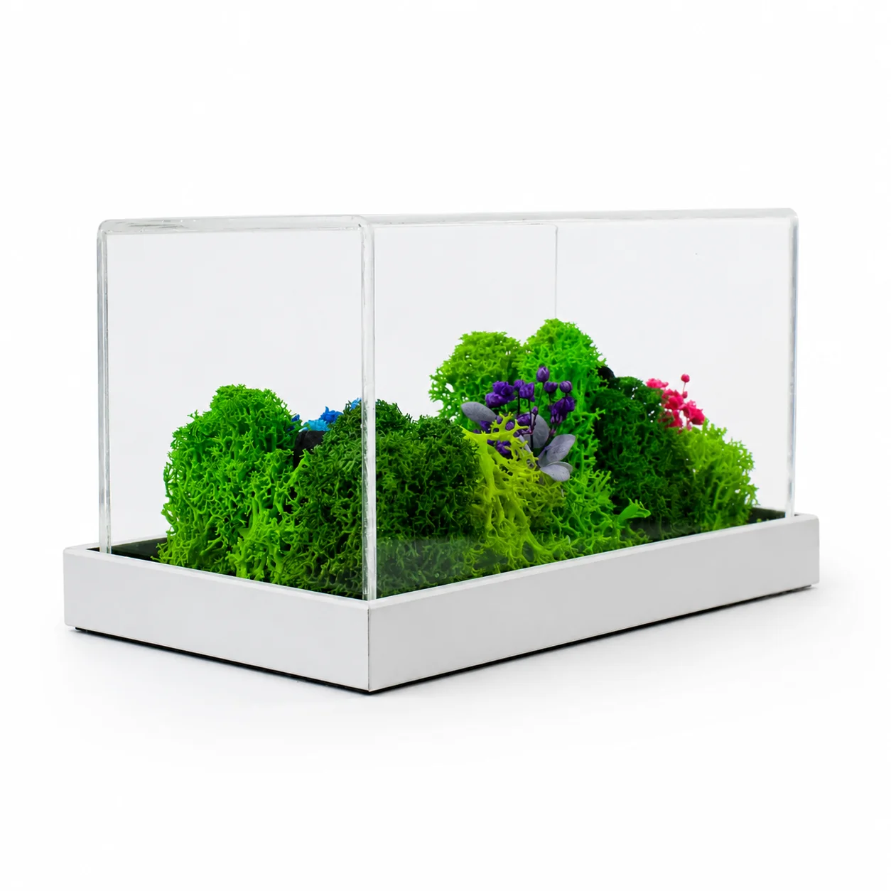 Forest Terrarium Landscape | 6" x 3" square raw (FTERRA36)
