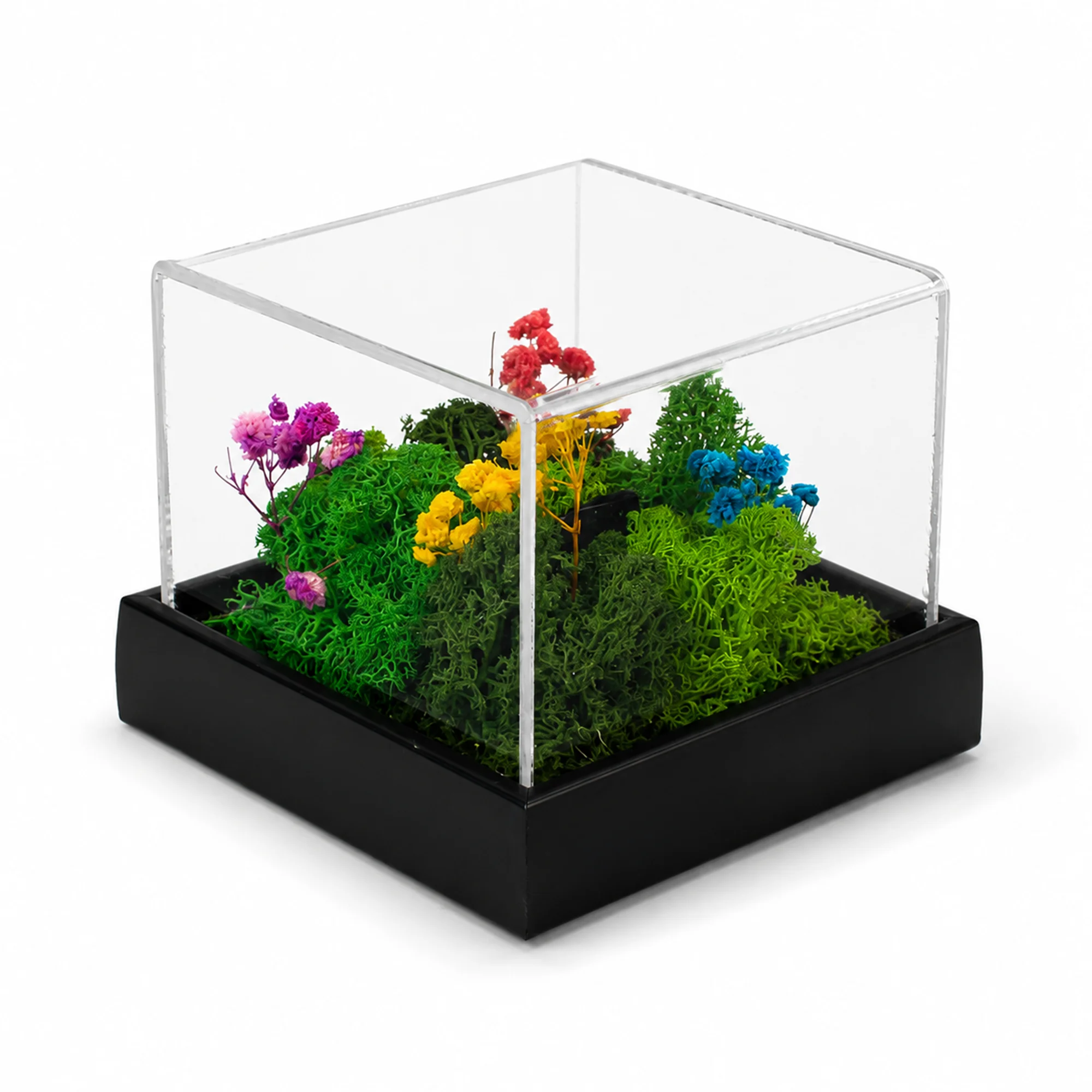 Forest Terrarium Desktop square raw (FTERRA44)