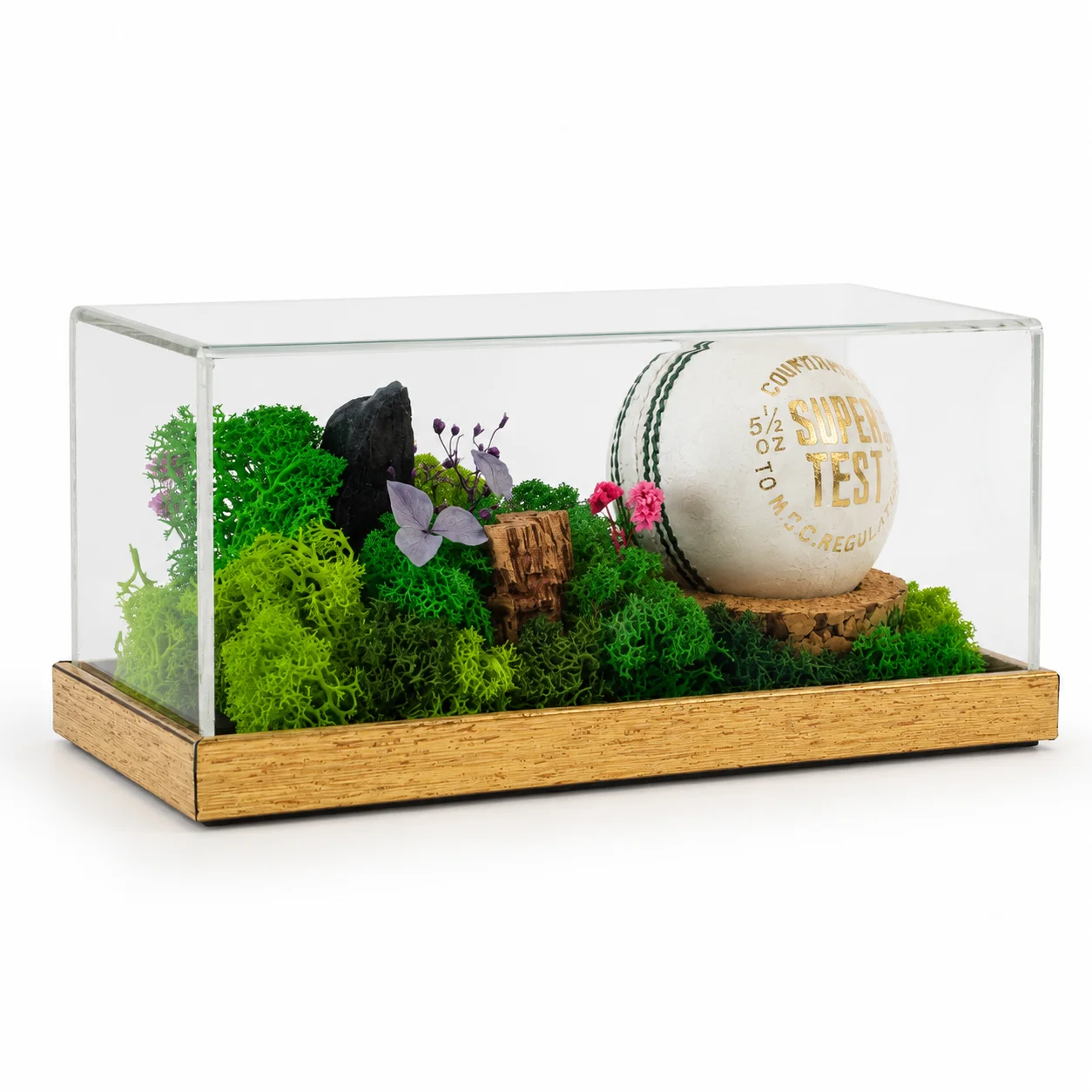 Forest Terrarium 8" x 4" (Your object) square raw (FTERRA48-object)