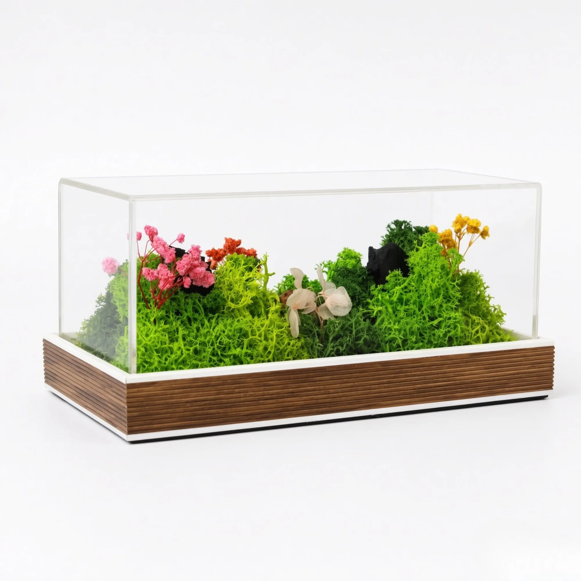 Forest Terrarium Landscape square raw (FTERRA48)