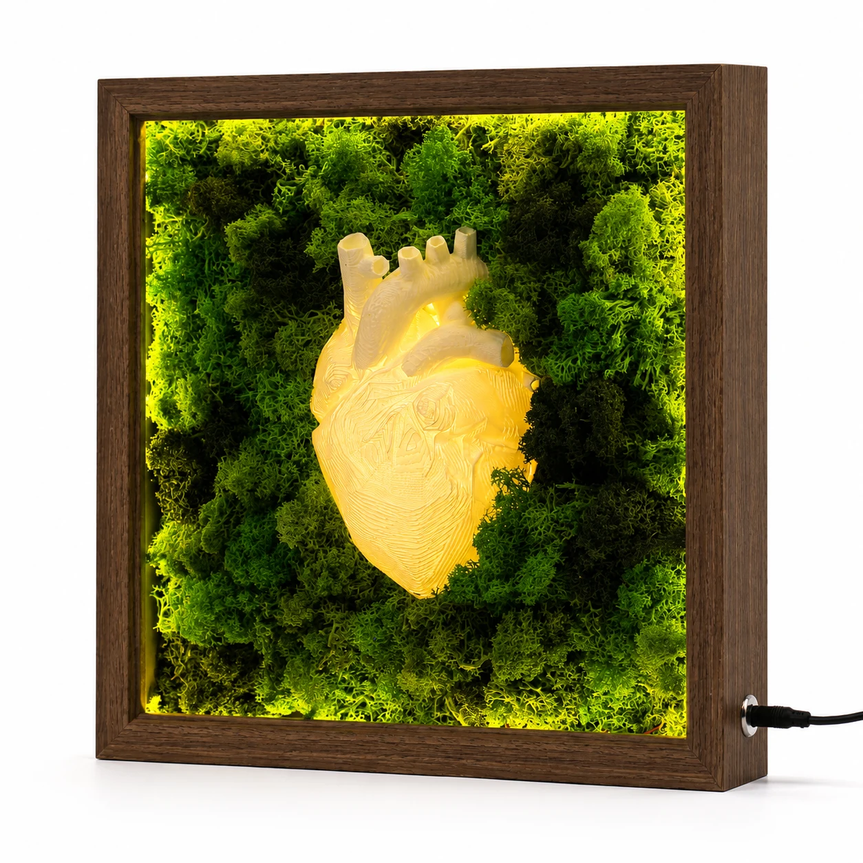 Illuminated Moss Heart Frame square raw (Moss Heart Frame)